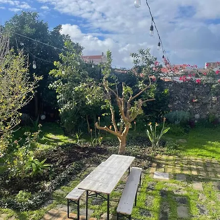 アパート Luxury Eco-paradise Steps To Center